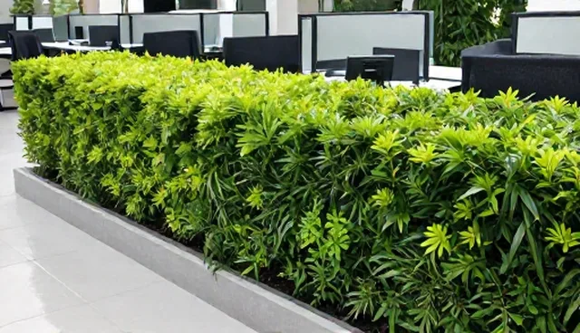 绿化工程维护中植物生长的科学选型与管理建议