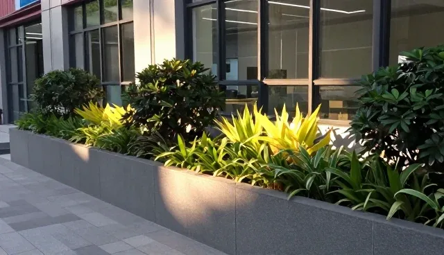 厂区景观设计中庭院造景的常见误区澄清